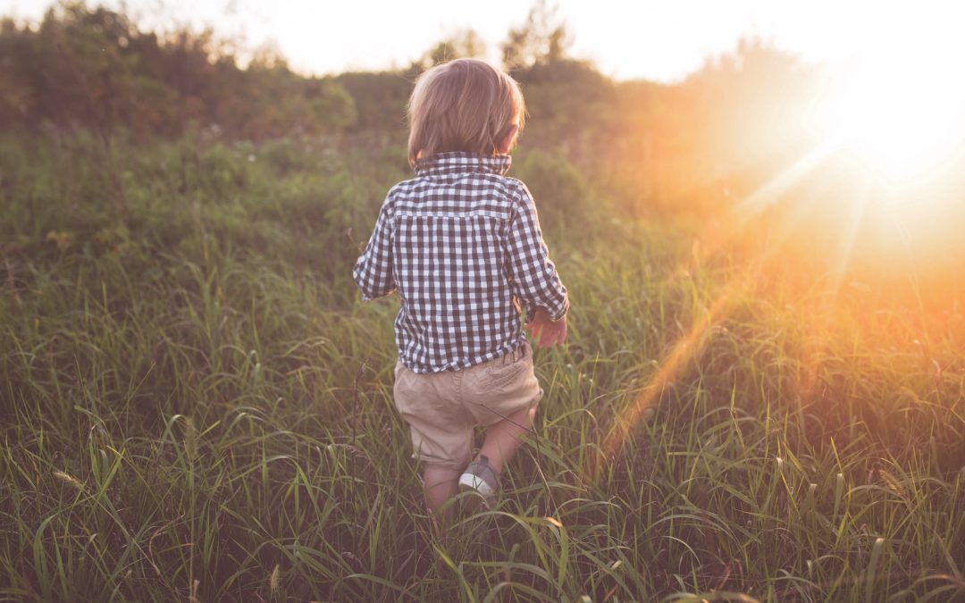 Les 4 plantes douces des enfants