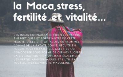 La Maca, stress, fertilité et vitalité…